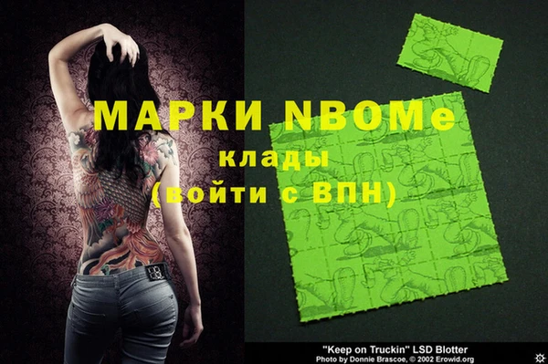 шишки Абаза