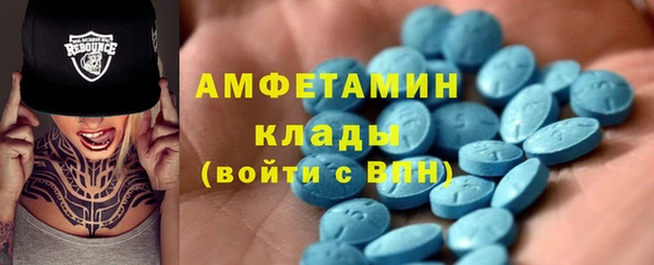 шишки Абаза