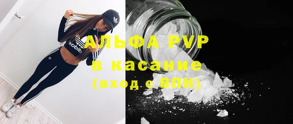 шишки Абаза