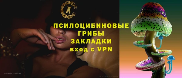 гидра Абдулино