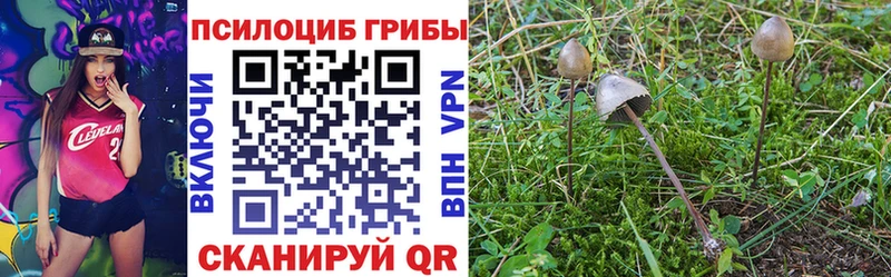 что такое наркотик  Ржев  Псилоцибиновые грибы GOLDEN TEACHER 