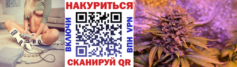 Каннабис планчик  ОМГ ОМГ ссылки  Ржев 